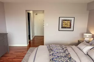 7337 S South Shore Dr, Chicago, IL 60649 - Photo 20