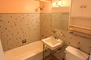 7337 S South Shore Dr, Chicago, IL 60649 - Photo 20