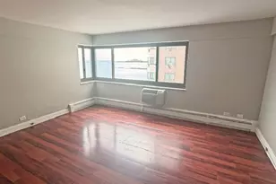7337 S South Shore Dr, Chicago, IL 60649 - Photo 18