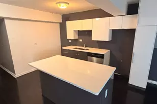 7337 S South Shore Dr, Chicago, IL 60649 - Photo 14
