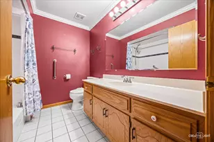 16736 Sheridan's Trail, Orland Park, IL 60467 - Photo 14