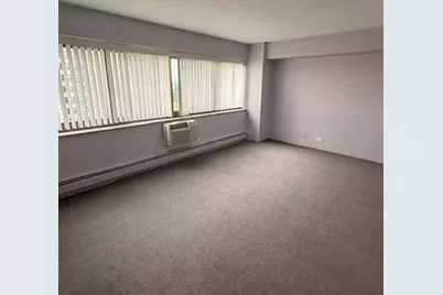 7337 S South Shore Drive #1012, Chicago, IL 60649 - Photo 20