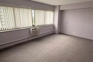7337 S South Shore Dr, Chicago, IL 60649 - Photo 20