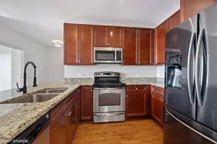 100 E 14th St, Chicago, IL 60605 - Photo 6