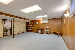 23056 W Karl Ave, Channahon, IL 60410 - Photo 20