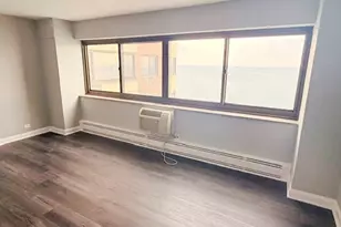 7337 S South Shore Dr, Chicago, IL 60649 - Photo 26
