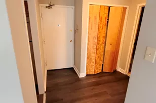 7337 S South Shore Dr, Chicago, IL 60649 - Photo 28