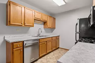 272 Park Ridge Ln, Aurora, IL 60504 - Photo 8