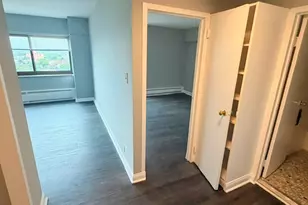 7337 S South Shore Dr, Chicago, IL 60649 - Photo 10