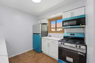 20125 Woodale St, Lynwood, IL 60411 - Photo 10