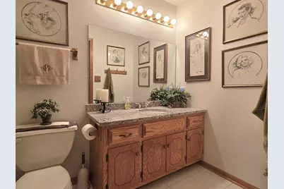 601 Lisson, New Lenox, IL 60451 - Photo 22