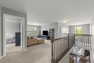 204 Julep Ave, Oswego, IL 60543 - Photo 20