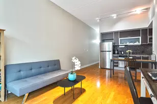 650 W Wayman St, Chicago, IL 60661 - Photo 6