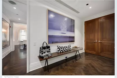 159 E Walton Place #8G, Chicago, IL 60611 - Photo 4