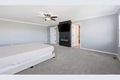 26326 W Silver Stream Drive, Channahon, IL 60410 - Photo 28