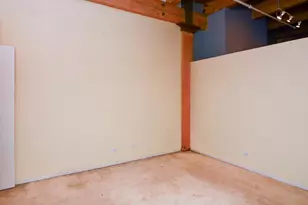 375 W Erie St, Chicago, IL 60610 - Photo 12