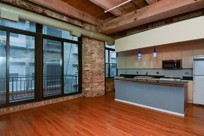 375 W Erie Street #321, Chicago, IL 60610 - Photo 10