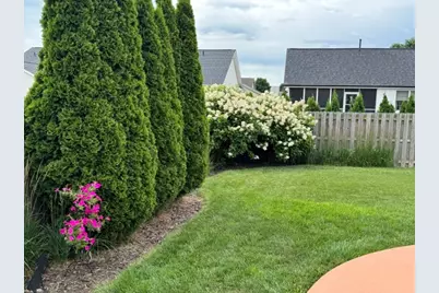 318 Piazza Lane, Chatham, IL 62629 - Photo 4
