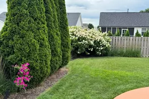 318 Piazza Ln, Chatham, IL 62629 - Photo 4