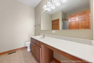 768 Bohannon Cir, Oswego, IL 60543 - Photo 10