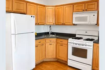 4518 N Kasson Avenue, Chicago, IL 60630 - Photo 10