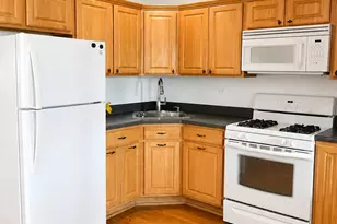 4518 N Kasson Ave, Chicago, IL 60630 - Photo 10