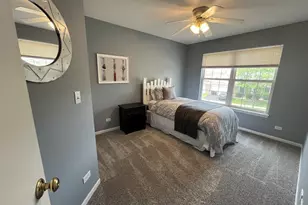 10520 Thornton Way, Huntley, IL 60142 - Photo 16