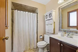 7006 Coachwood Trail, Tinley Park, IL 60477 - Photo 16