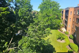 950 E Wilmette Rd, Palatine, IL 60074 - Photo 8