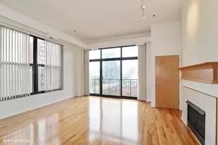 1516 S Wabash Ave, Chicago, IL 60605 - Photo 2