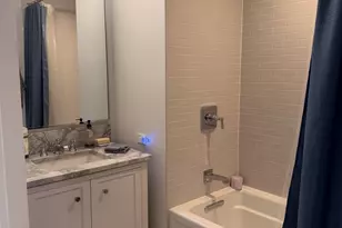 514 N Peshtigo Ct, Chicago, IL 60611 - Photo 10