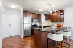 1150 N Lake Shore Dr, Chicago, IL 60611 - Photo 6