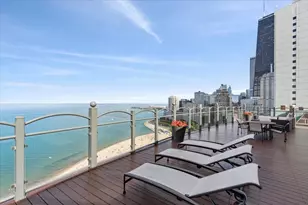 1150 N Lake Shore Dr, Chicago, IL 60611 - Photo 22