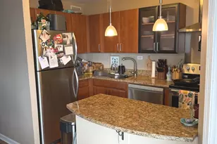 1355 N Sandburg Terrace, Chicago, IL 60610 - Photo 6