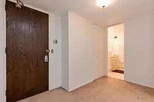 233 E Erie St, Chicago, IL 60611 - Photo 8