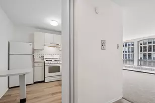 1451 E 55th St, Chicago, IL 60615 - Photo 4