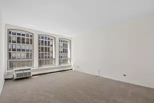 1451 E 55th St, Chicago, IL 60615 - Photo 12