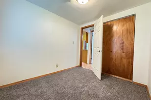 224 W 2nd Pl, Spring Valley, IL 61362 - Photo 18