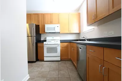 1039 S Lytle Street #102, Chicago, IL 60607 - Photo 4