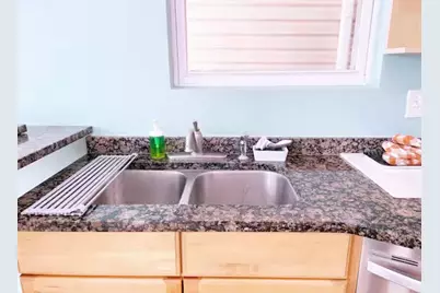 1028 W 20th Place #1, Chicago, IL 60608 - Photo 10