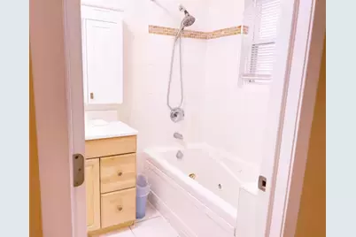 1028 W 20th Place #1, Chicago, IL 60608 - Photo 26