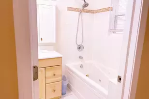 1028 W 20th Pl, Chicago, IL 60608 - Photo 26