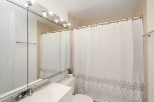 1 E Scott St, Chicago, IL 60610 - Photo 8