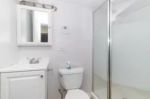 33 Briarwood Ln, Palatine, IL 60067 - Photo 24