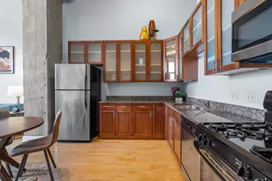 320 E 21st St, Chicago, IL 60616 - Photo 8