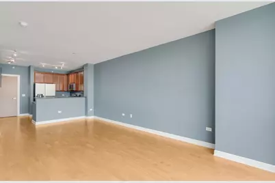 1901 S Calumet Avenue #909, Chicago, IL 60616 - Photo 4