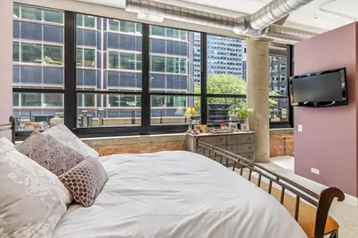 130 S Canal Street #215, Chicago, IL 60606 - Photo 12
