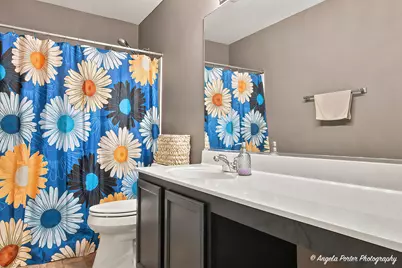 757 Beethoven Street, Volo, IL 60073 - Photo 16