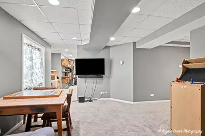 757 Beethoven Street, Volo, IL 60073 - Photo 24