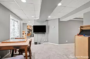 757 Beethoven St, Volo, IL 60073 - Photo 24